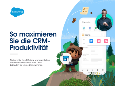 So maximieren Sie die CRM - Produktivität