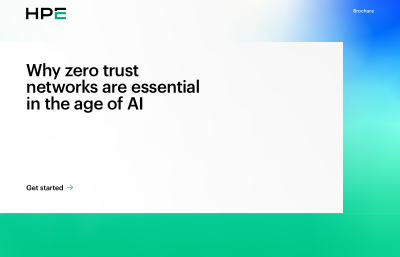 Why zero trust networks are essential in the age of AI
