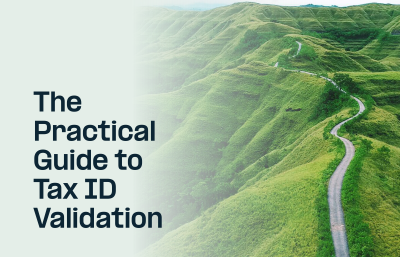 The Practical Guide to Tax ID Validation for Global Compliance
