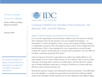 Creating a Platform for the Real‐Time Enterprise