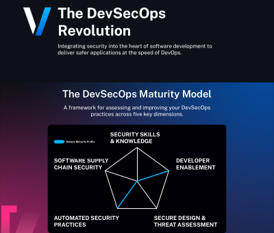 The DevSecOps Revolution Infographic