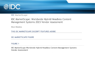 Worldwide Hybrid Headless Content Management Systems 2023 Vendor Assessment